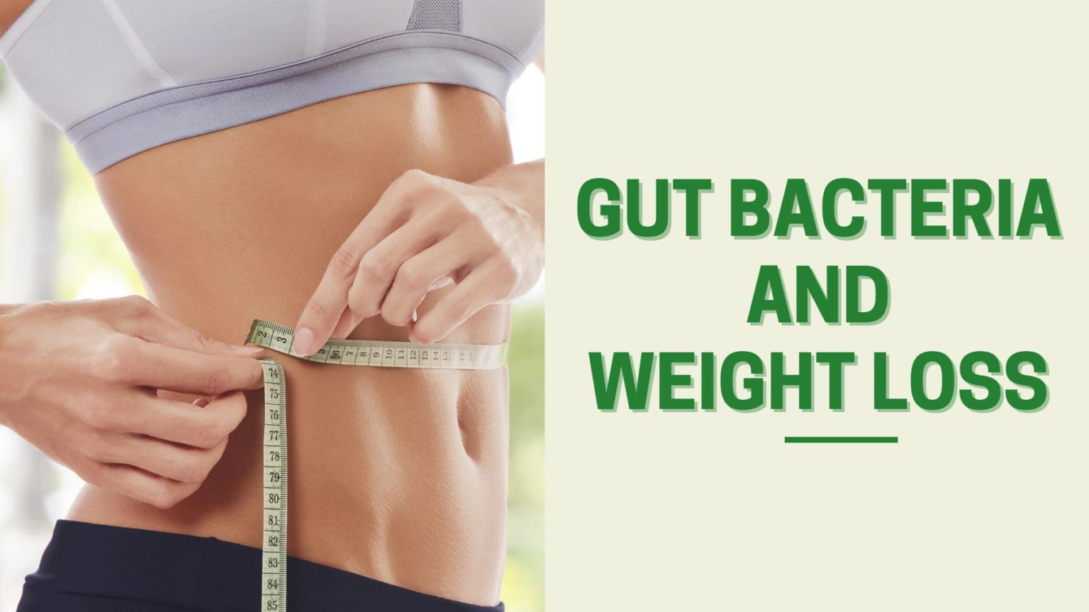 Gut Bacteria And Weight Loss